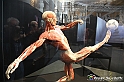 VBS_2609 - Mostra Body Worlds